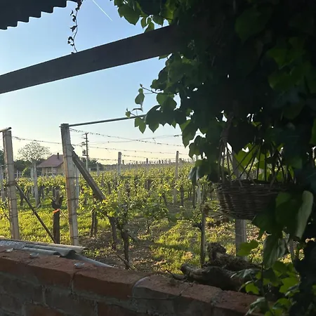 Hiska Pri Paulu شقة دوبروفنيك