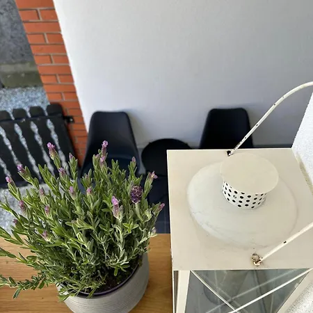 Hiska Pri Paulu دوبروفنيك