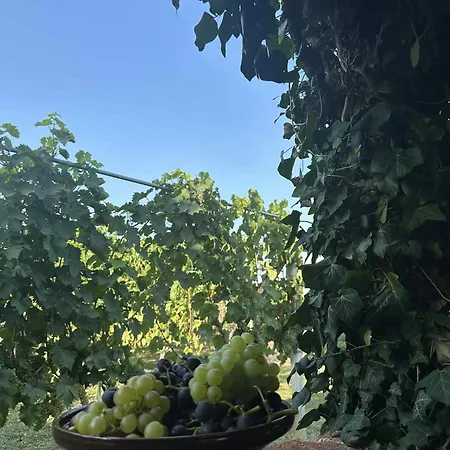 Hiska Pri Paulu دوبروفنيك