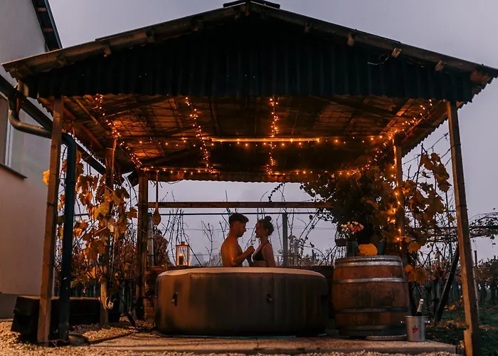 公寓 Hiska Pri Paulu