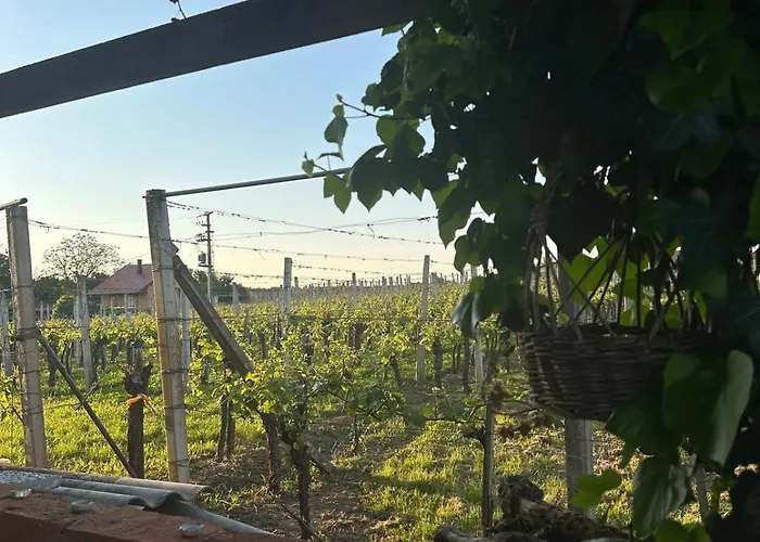 Hiska Pri Paulu 公寓 杜布罗夫尼克