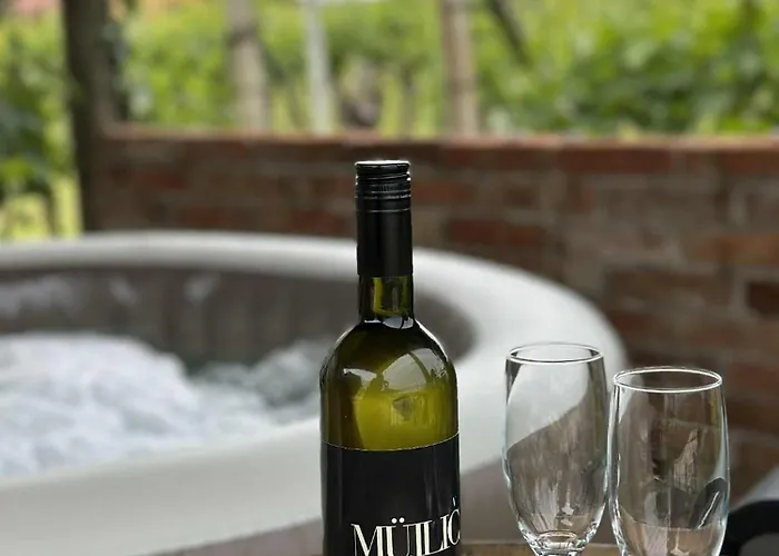 公寓 Hiska Pri Paulu