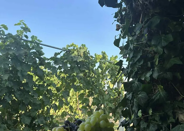 Hiska Pri Paulu 杜布罗夫尼克